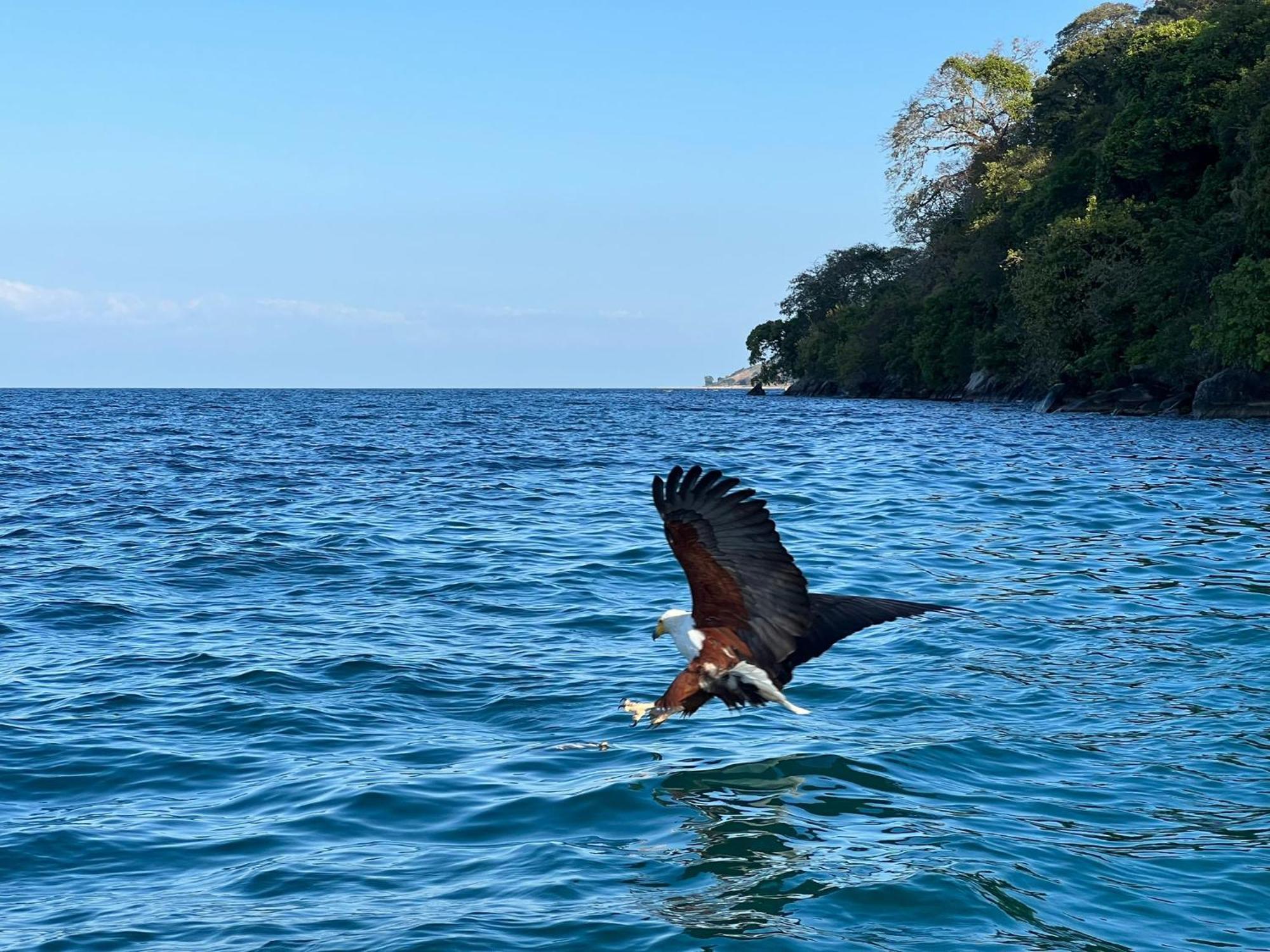 Butterfly Space- A Non-Profit Eco-Lodge Nkhata Bay エクステリア 写真