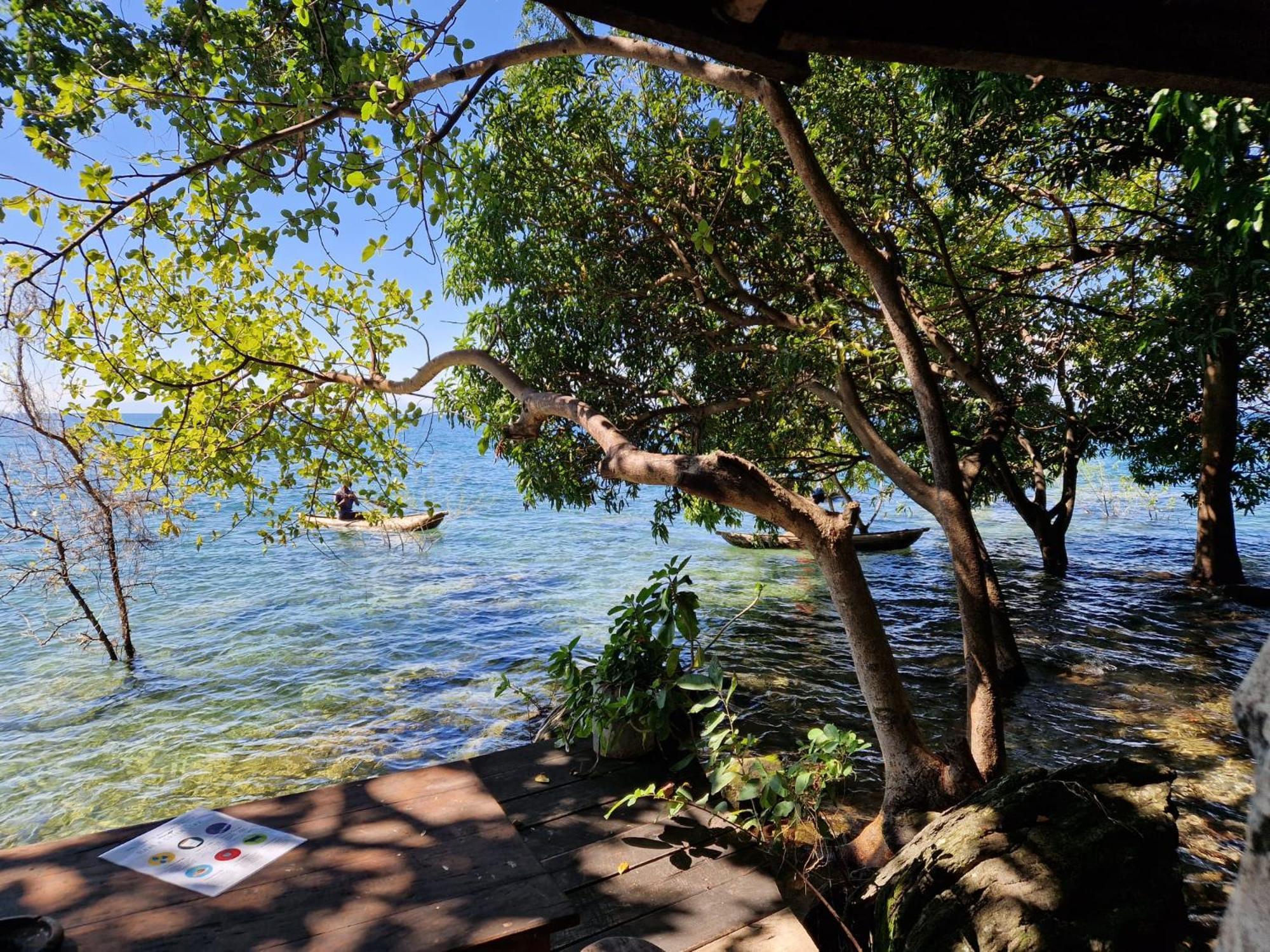 Butterfly Space- A Non-Profit Eco-Lodge Nkhata Bay エクステリア 写真