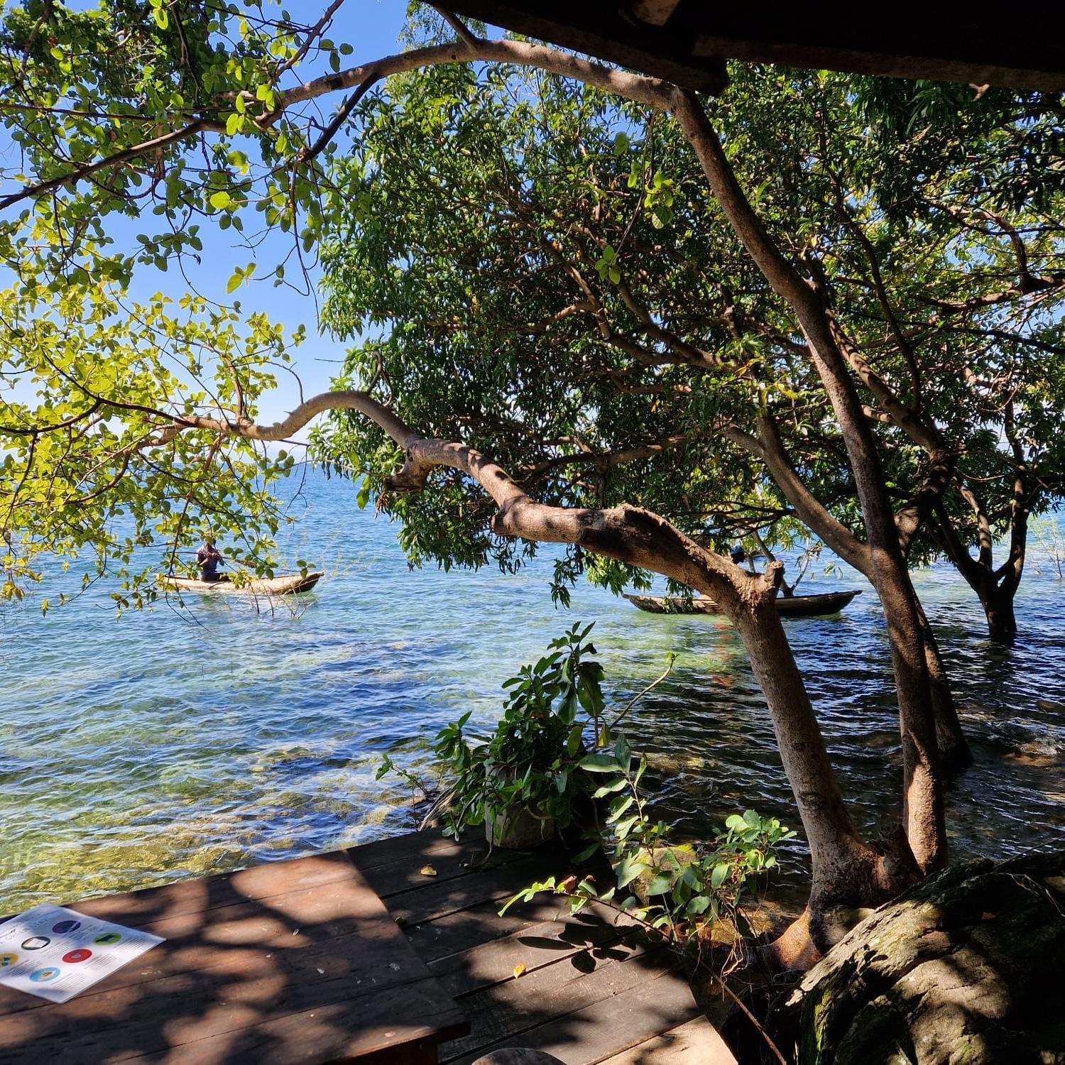 Butterfly Space- A Non-Profit Eco-Lodge Nkhata Bay エクステリア 写真