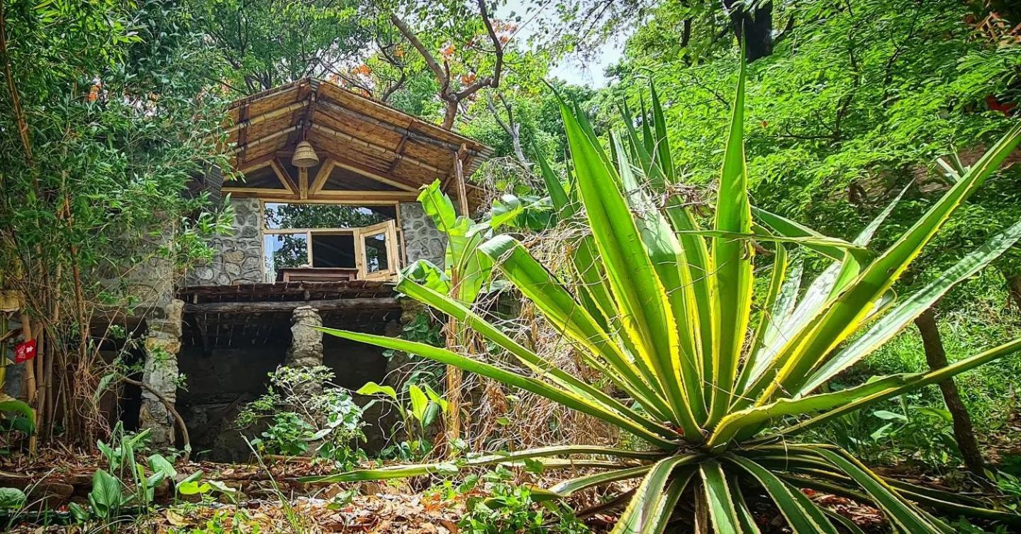 Butterfly Space- A Non-Profit Eco-Lodge Nkhata Bay エクステリア 写真
