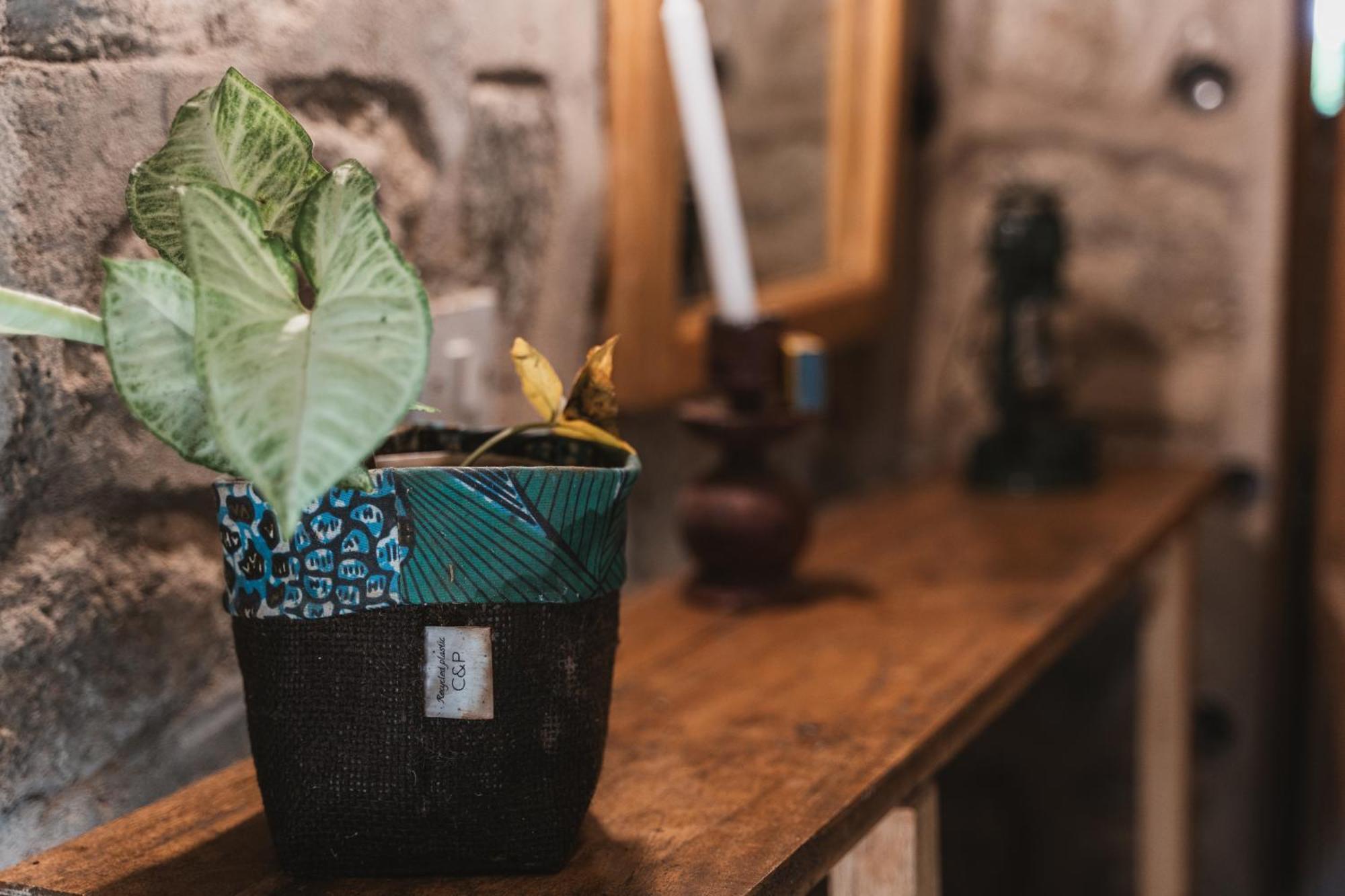 Butterfly Space- A Non-Profit Eco-Lodge Nkhata Bay エクステリア 写真