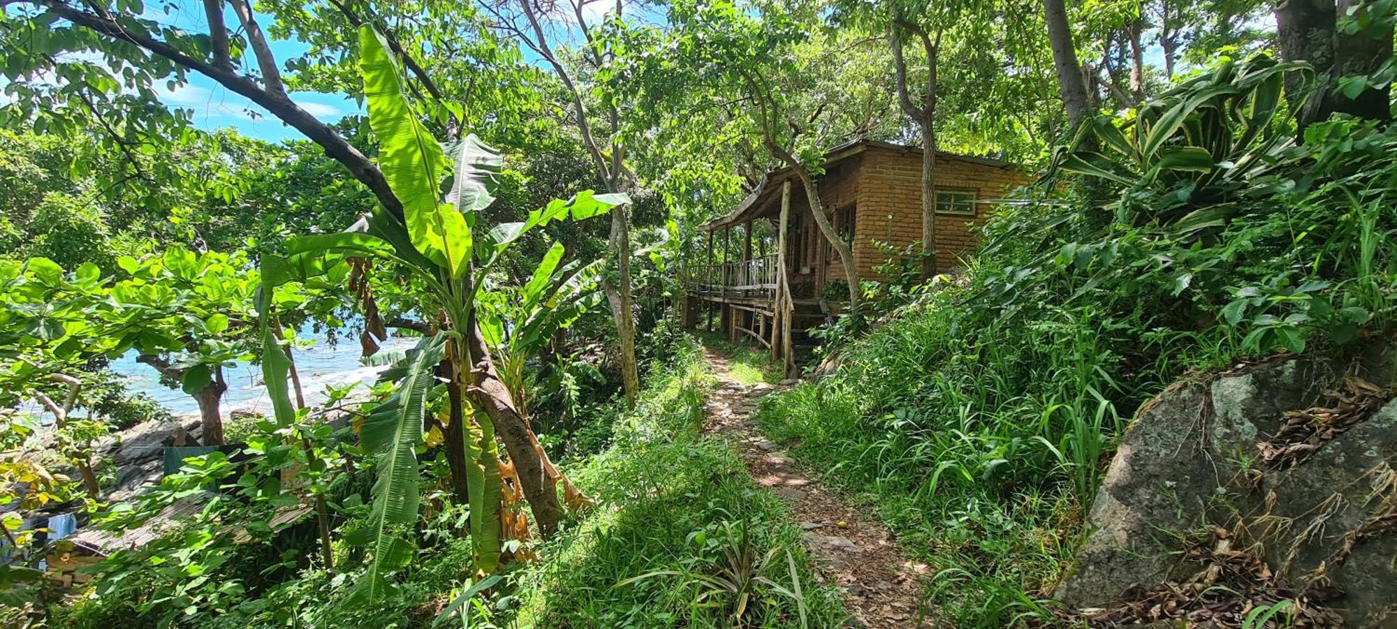 Butterfly Space- A Non-Profit Eco-Lodge Nkhata Bay エクステリア 写真