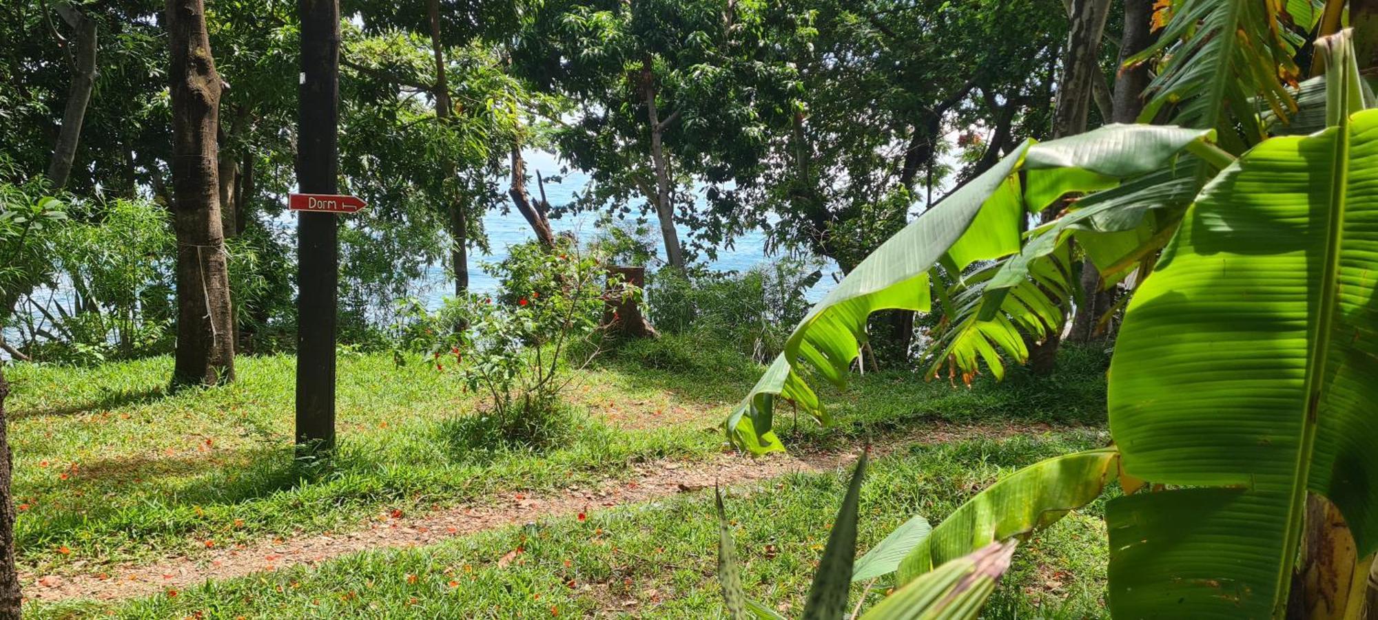 Butterfly Space- A Non-Profit Eco-Lodge Nkhata Bay エクステリア 写真