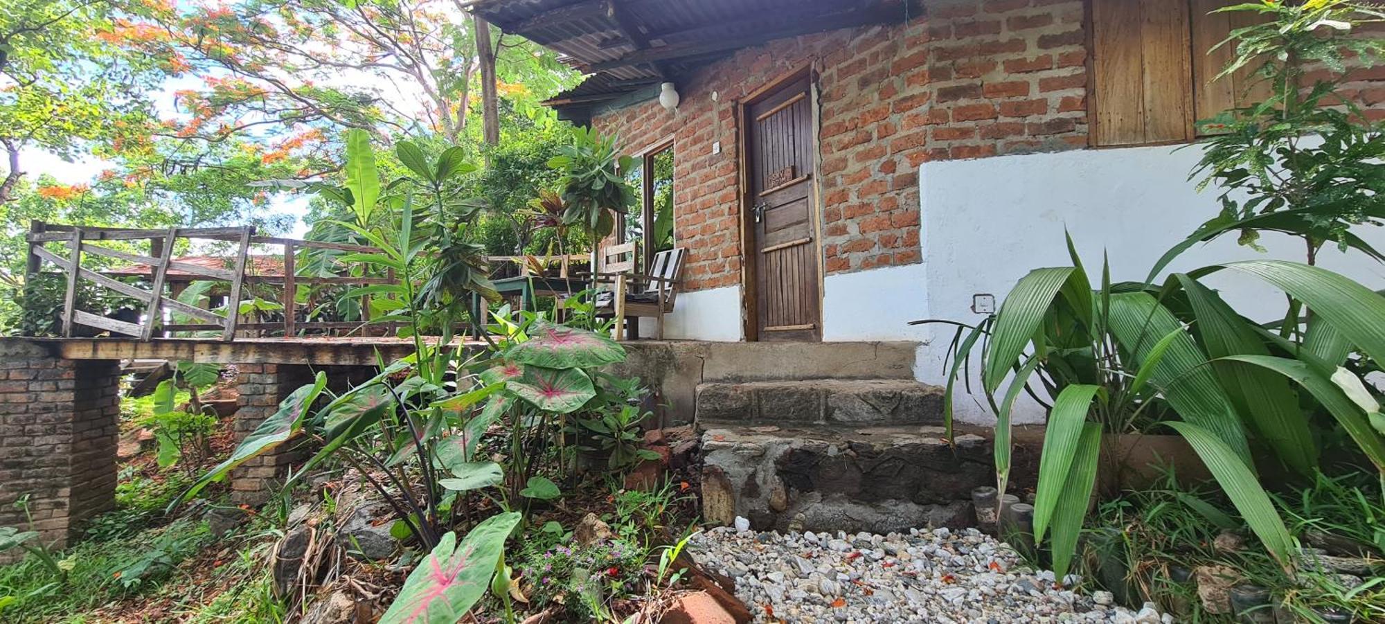 Butterfly Space- A Non-Profit Eco-Lodge Nkhata Bay エクステリア 写真