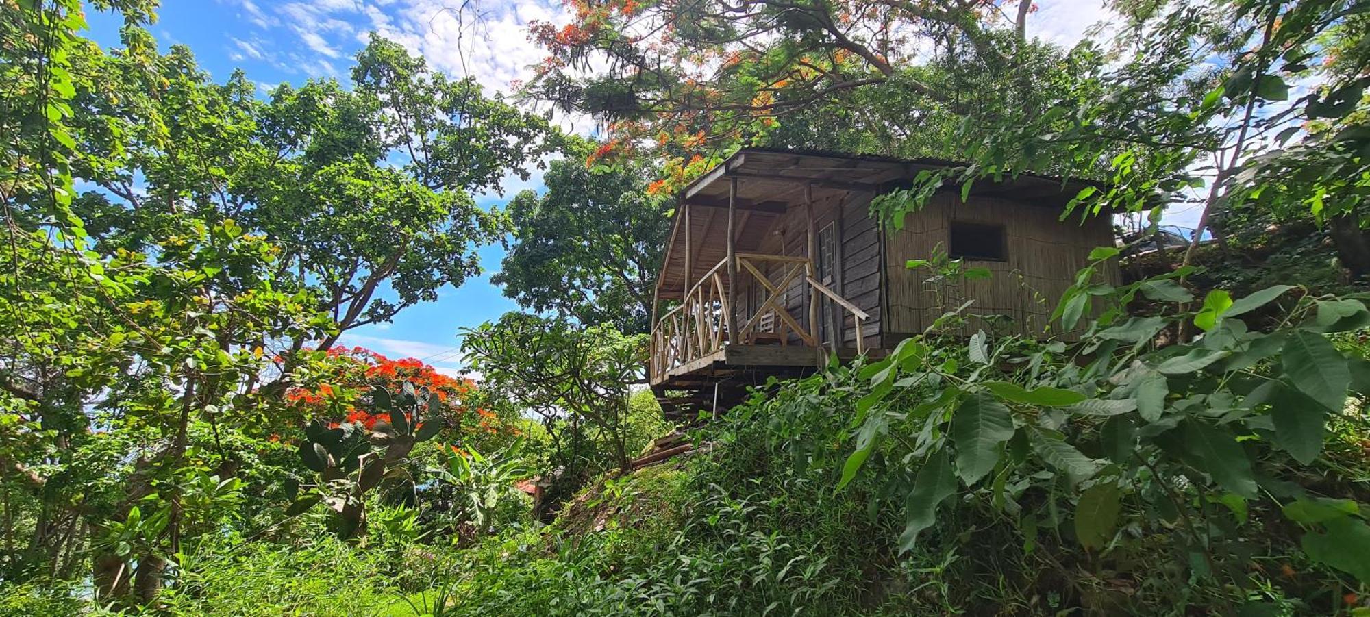 Butterfly Space- A Non-Profit Eco-Lodge Nkhata Bay エクステリア 写真