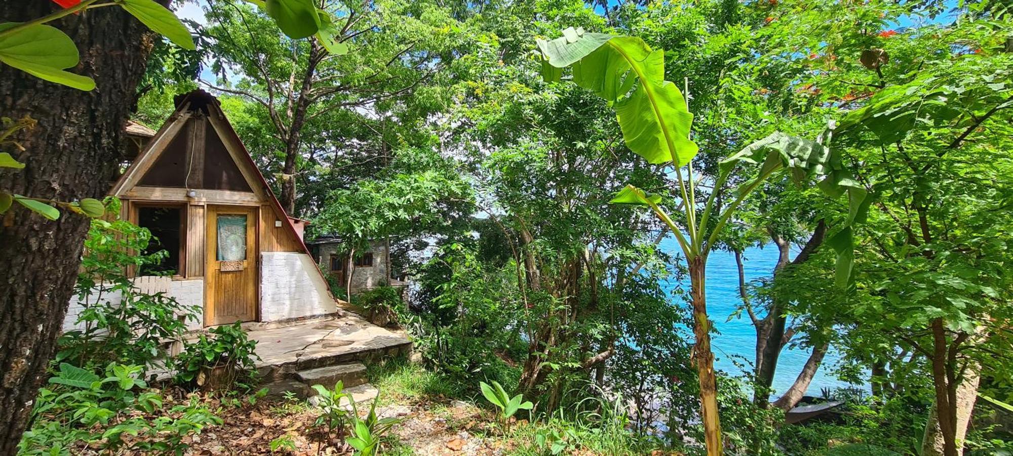 Butterfly Space- A Non-Profit Eco-Lodge Nkhata Bay エクステリア 写真